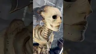 Court of the Dead - XIALL bust by Sideshow Collectibles