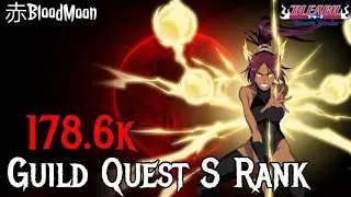 Guild Quest S Rank 178.6K (179K - 180K can Improved)