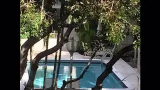 The Lago Mar Resort Is The Place!