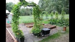 Automate your Self Watering Planters