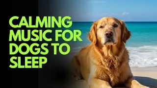 Relaxing Dog in Sea Waves 🌊 | Calming Music for Dogs to Sleep & Reduce Anxiety