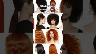 Hair Savant Quiz: Test Your Knowledge of Hair!