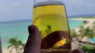 Exotic Beer Banger! Bahamian Bush Crack!! 3 minute Review