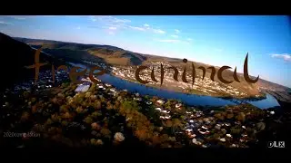 Free Animal - My First Week of Flying FPV in 2020  (compilation)