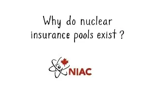 Why do Nuclear Insurance Pools Exist?