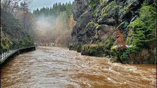 Vánoční Riegrova stezka a povodeň na Jizeře 4K / 25. 12. 2023