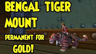 Wizard101: 🐅BENGAL TIGER Mount Review🐅