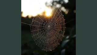 Hollow Here