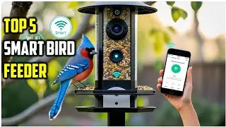 ✅Best Smart Bird Feeder of [2025] | smart bird feeder reviews