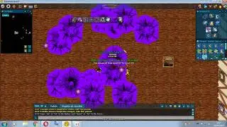 Novo Poke Tibia 2019
