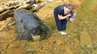 The beauty was surprised to find pearls. Shells hide pearls and eggs, earning a lot of money
