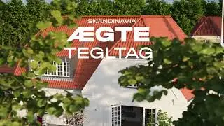 SKANDINAVIA - Den &aelig;gte vare