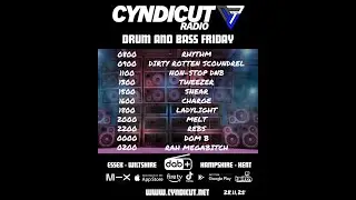 DnB Friday on Cyndicut radio with DJ Melt Nov. 28, 2025#dnb#drumandbass#jungle#junglednb #femaledj