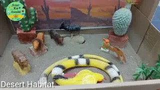 Desert Habitat | Habitat Model | Science  project
