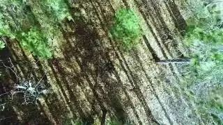 Grayling Official Music Video Promotion