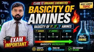 Basicity of Amines | Basic Nature of Amines | Basicity of Primary Secondary & Tertiary Amines | NBF