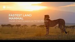 15 Incredible Animals with Amazing World Records | Fastest, Largest & Most Unique Animals! / Sora 2