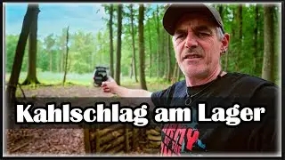 Der ganze Wald gerodet - Kahlschlag am Waldlager