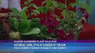 Spring Garden Tour & Plant Sale