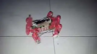 Tamiya Mechanical Rabbit an educational Toy