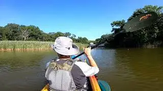 Cox point park 7/5/25