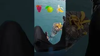 The North Sea With Emojis