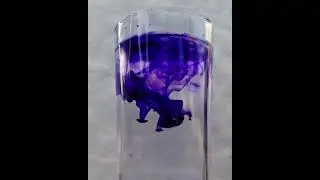 The Art of Diffusion &ndash; Ink in Motion #diffusion #cinematic #4k #art #science  #ink #motion #water