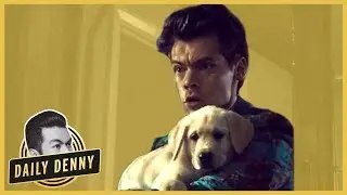 Harry Styles + Food Fight + Puppies = 'Kiwi' Music Video | Daily Denny
