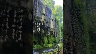 This water petrifies everything it touches