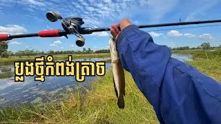 ប្រឡង់ថ្មីត្រីច្រើនតែពិបាកយកណាស់​​ | Fishing in Cambodia