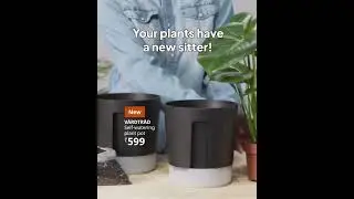 Your plants have a new sitter - V&Aring;RDTR&Auml;D