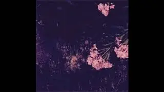 Lucy Fer - Wild Indigo (Audio)