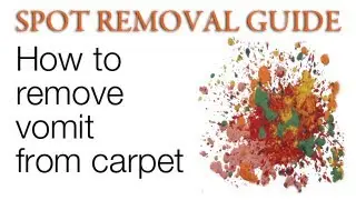 How to Clean Vomit from Carpet | Spot Removal Guide