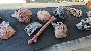 Easy Halloween Prop. Building the Milk jug skull wall.