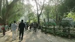 शेर का तांडव //चिड़ियाघर पटना में #patna #zoo 