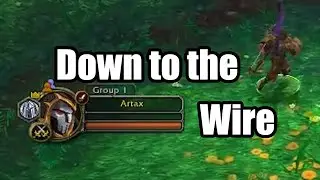 Crazy Arena win against double Ret Paladin - I got 2 Re-Stealths - WoW Shadowlands PvP - MM Hunter