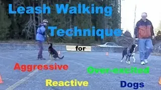 Leash Walking Technique for Aggressive, Reactive or Over Excited Dogs