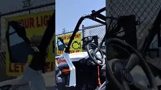Polaris rana doggy doggy doggy