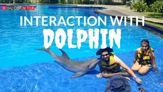 INTERACTION WITH DOLPHIN @BaliCustomTour