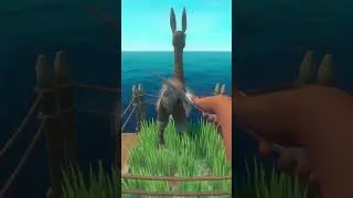 101 Raft Tips: #91: Useless Items