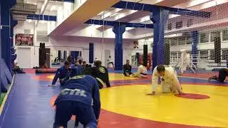 Роллим
