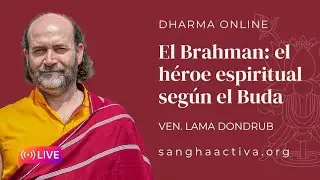 Enseñanzas 29/1/26