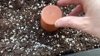 16 oz Self Watering Terracotta Olla Pots Review | Narrow Planter on Balcony