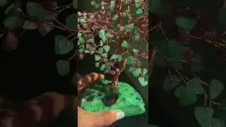 Attract abundance with the 