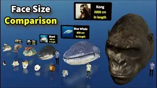 Shocking Animal Head Size Differences