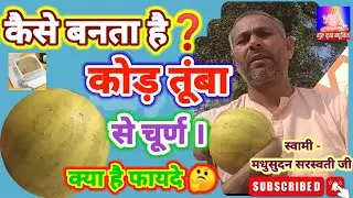 एंजाइम कोड तुंबा चूर्ण बनाने की विधि और गुण जाने स्वामी मधुसूदन सरस्वती जी महाराज