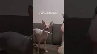 вот такой 9 месяц😅 мы в тг: bratkamatka