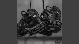 TN NOIR