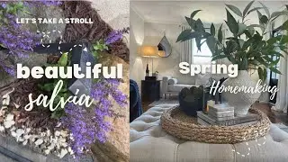 6 Spring Projects | Amazing Spring Garden Tour and Essential Planting Ideas | Patio Makeover Reveal