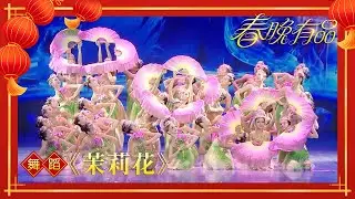 舞蹈《茉莉花》亚特兰大晨星舞蹈学校 【2016年央视春晚】｜订阅CCTV春晚